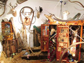 Hoarding & Amassing