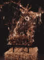 Gaia 3